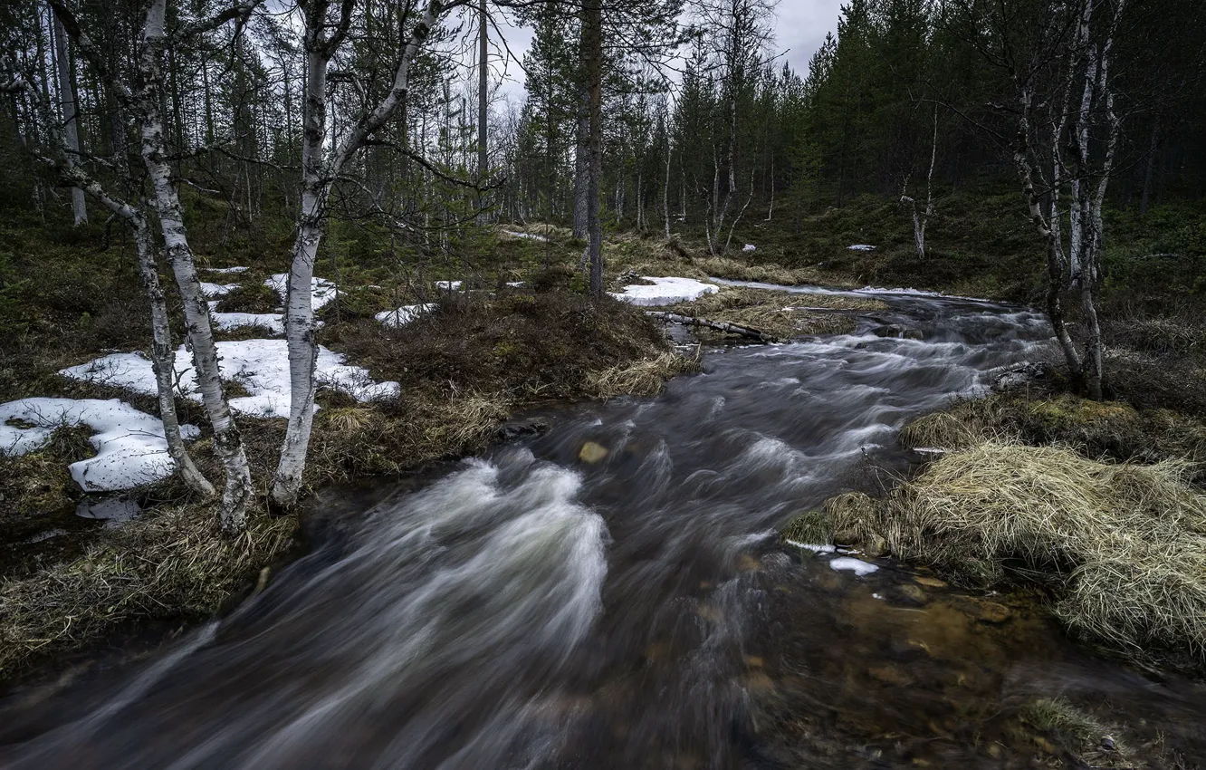 Photo wallpaper nature, river, Lapland, Spring time
