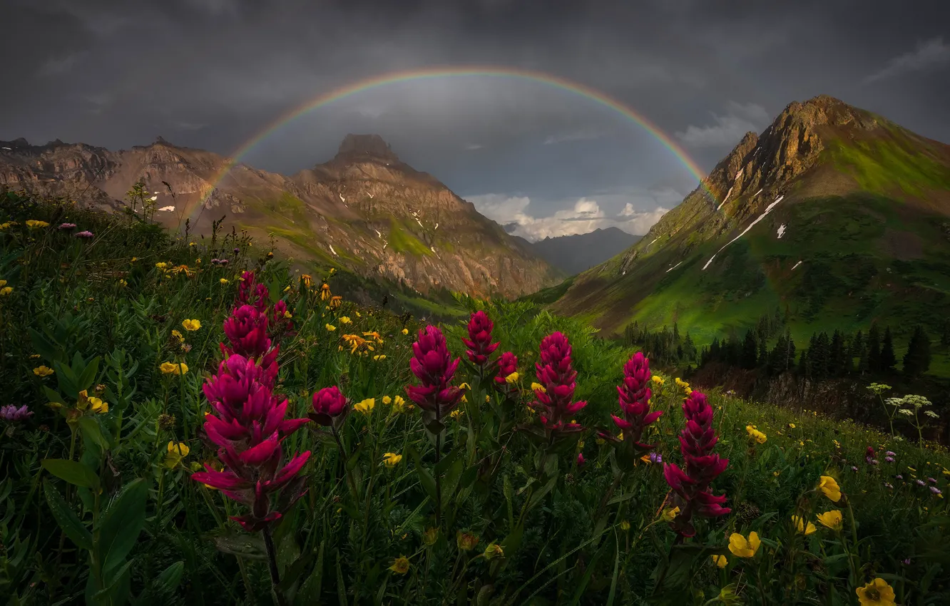 Photo wallpaper field, summer, the sky, flowers, mountains, clouds, rocks, rainbow