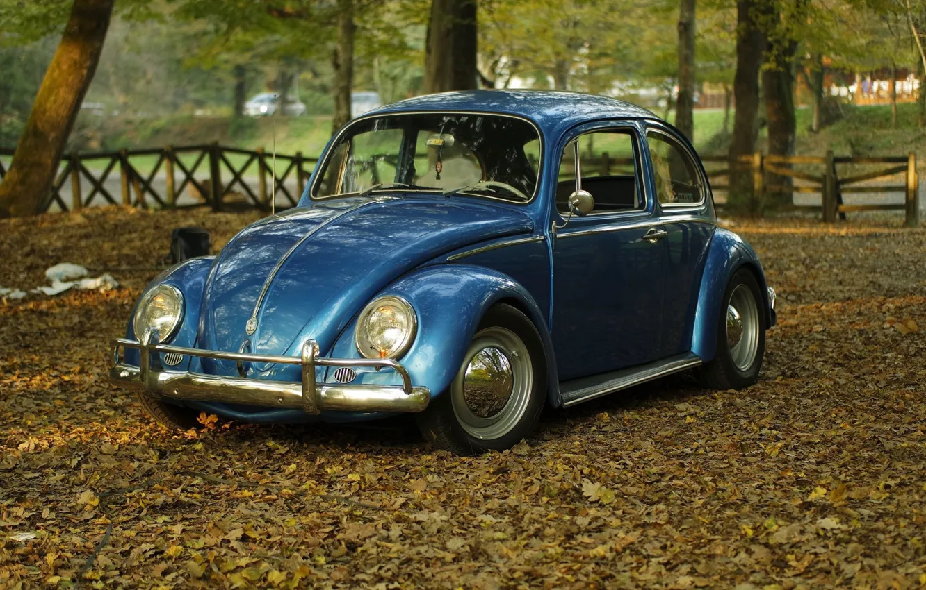 Photo wallpaper car, Volkswagen, vintage, blue