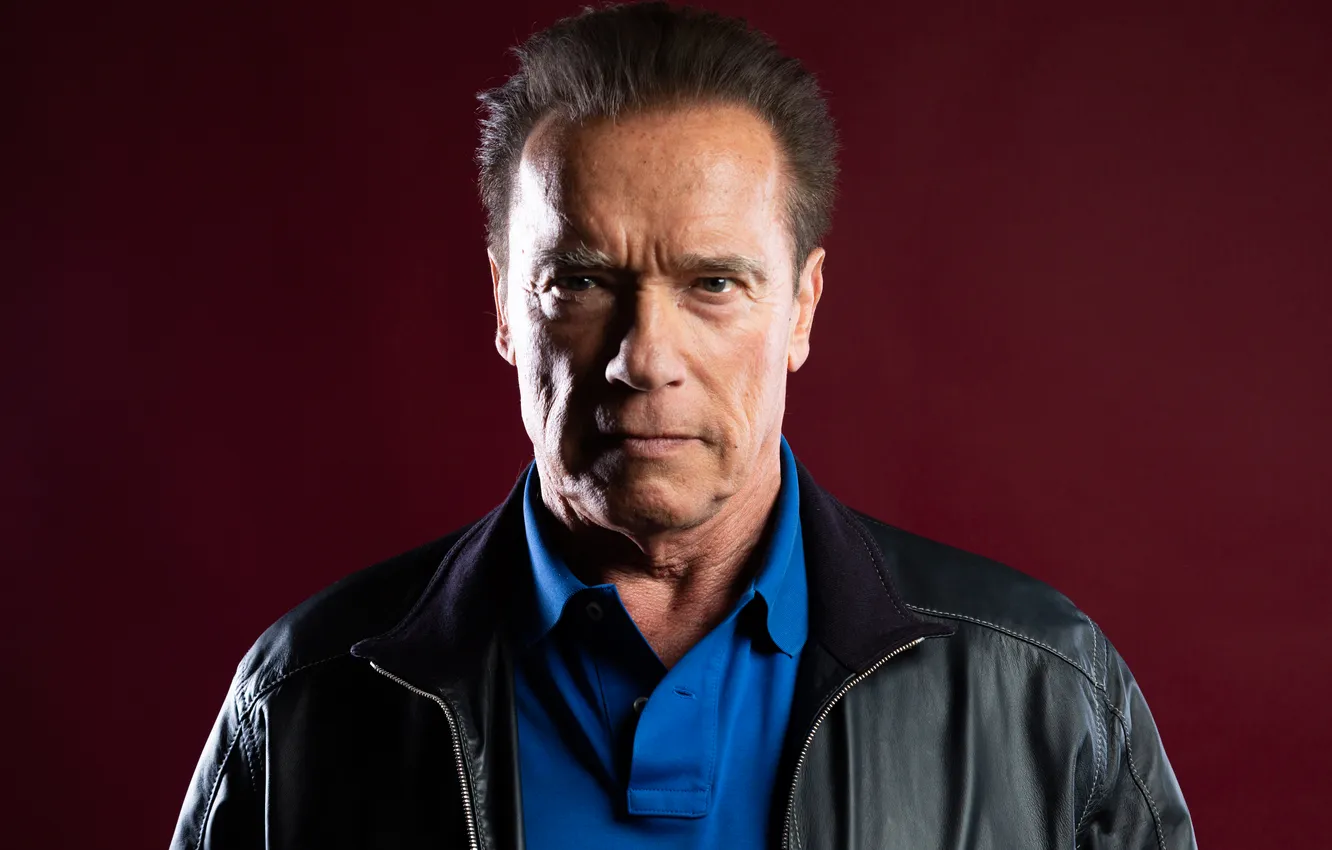 Photo wallpaper look, portrait, actor, celebrity, bodybuilder, Arnold Schwarzenegger, Arnold Schwarzenegger, bodybuilder