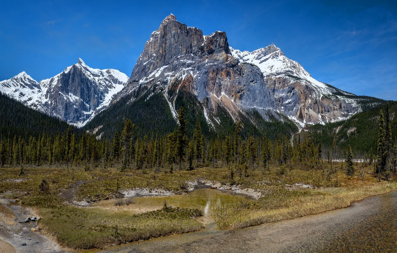 Photo wallpaper forest, trees, mountains, lake, blue, rocks, tops, height