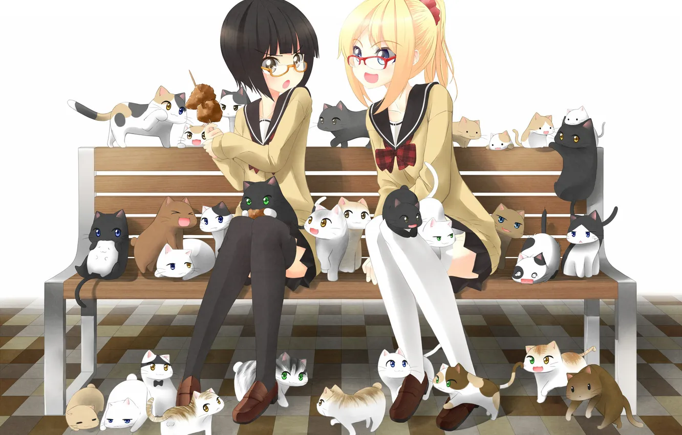 Photo wallpaper cat, cat, bench, art, shop, girl, sweet, nekobaka