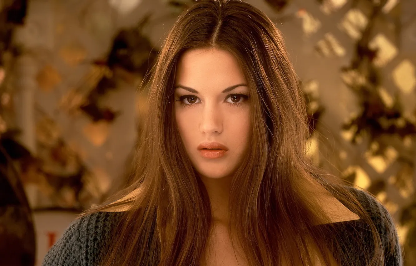 Photo wallpaper look, brown hair, sweater