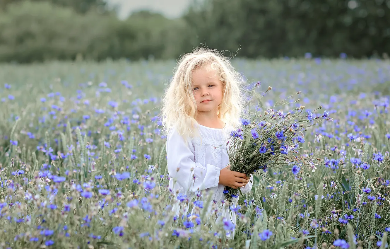 Photo wallpaper bouquet, girl, cornflowers