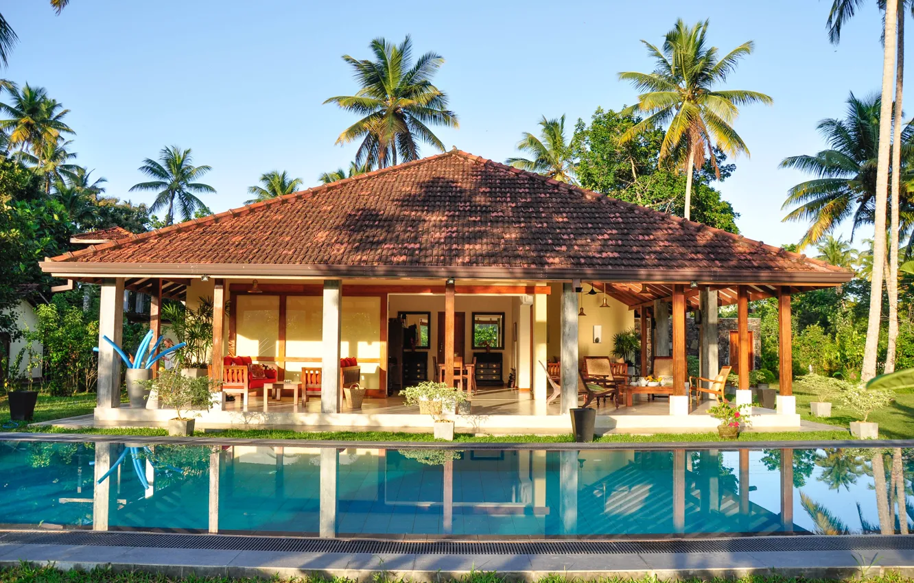Photo wallpaper palm trees, home, pool, House with Pool