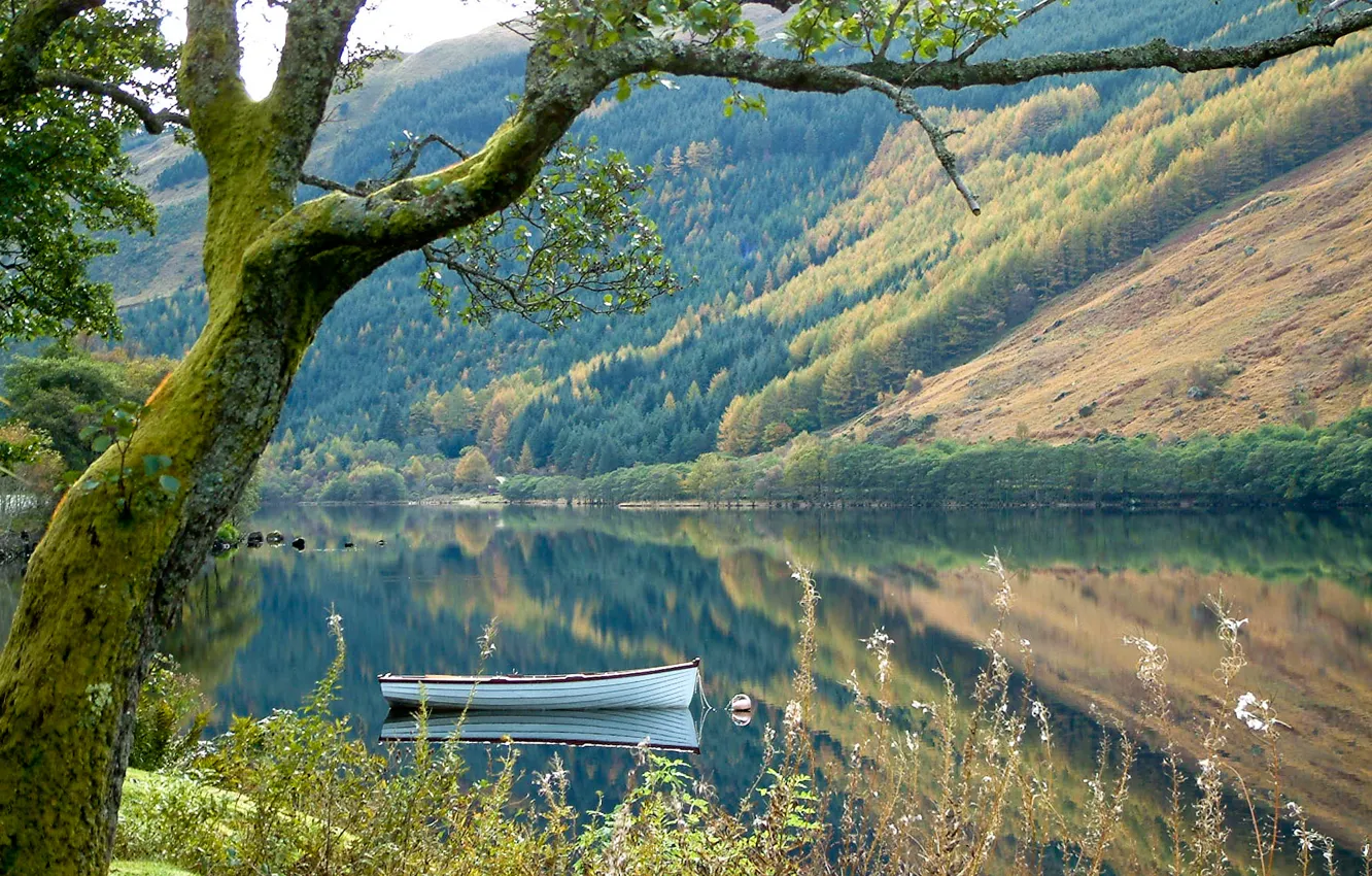 Photo wallpaper forest, grass, mountains, nature, lake, tree, boat