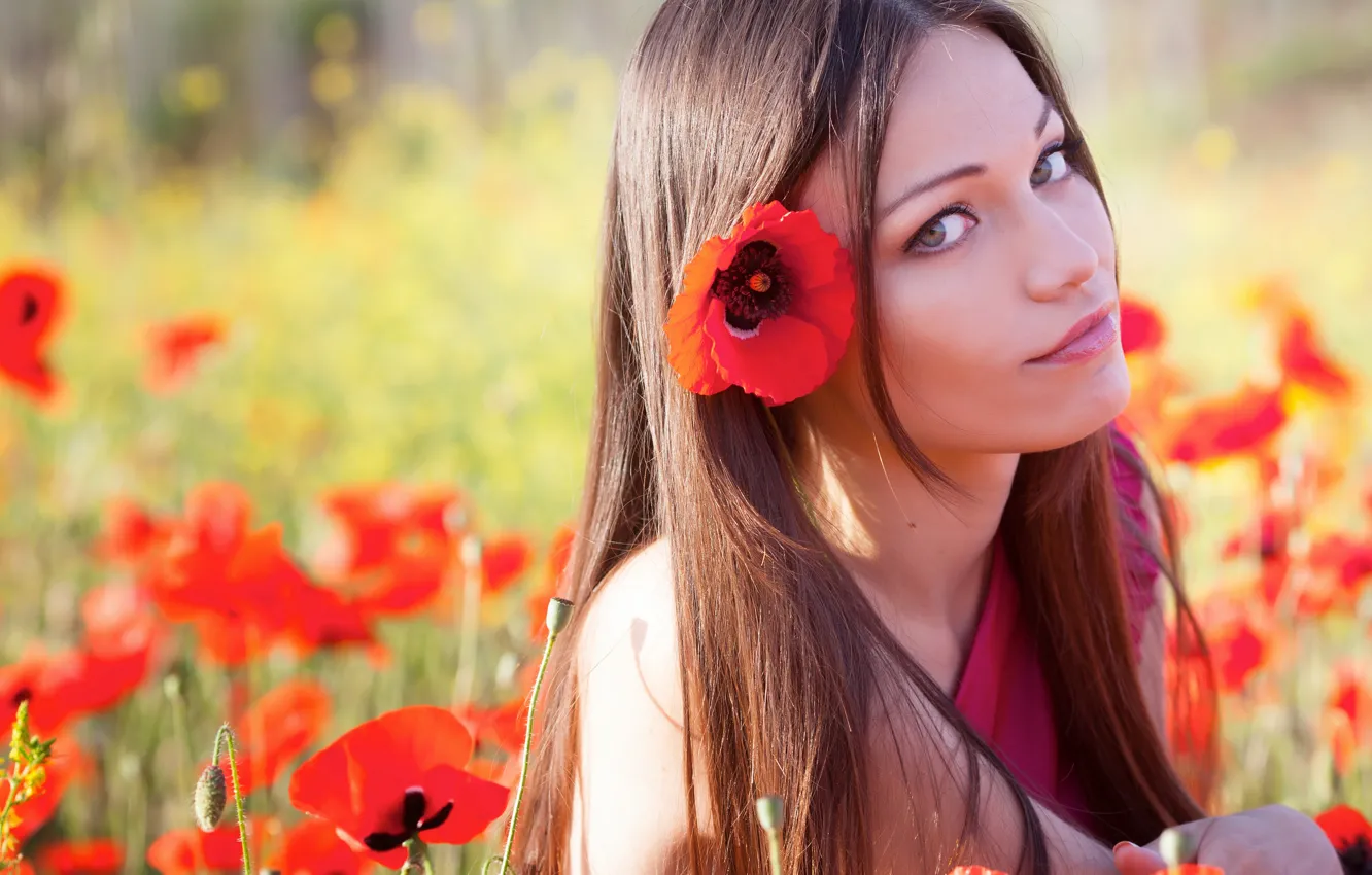Photo wallpaper field, grass, look, the sun, flowers, red, nature, Maki
