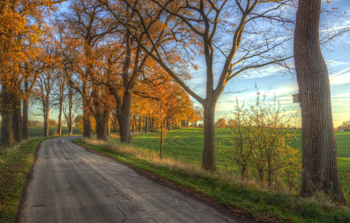 Photo wallpaper road, field, autumn, morning