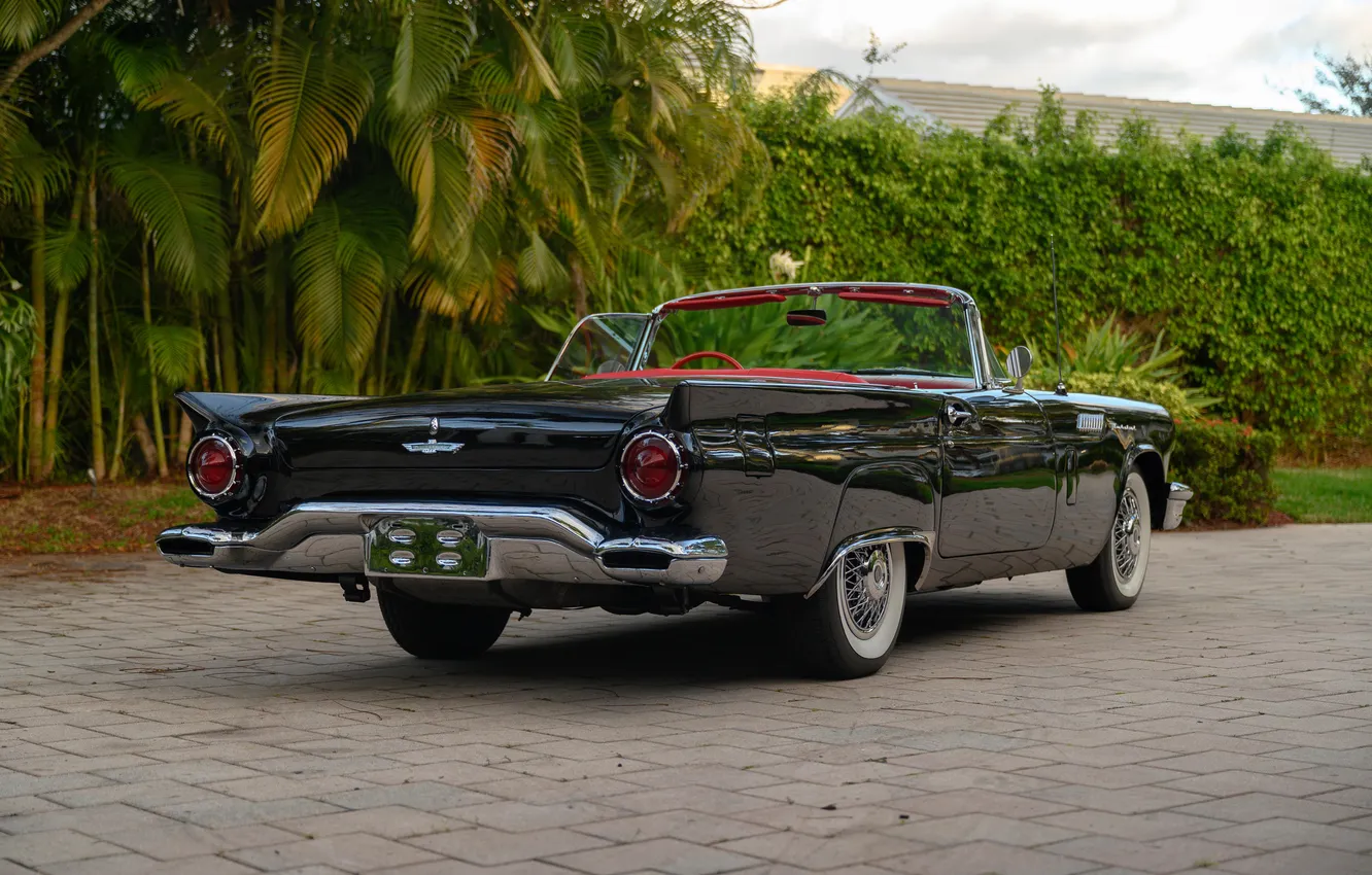 Photo wallpaper Ford, Ford, 1957, retro cars, Thunderbird, Retro Cars, Ford Thunderbird E-Code, E-Code