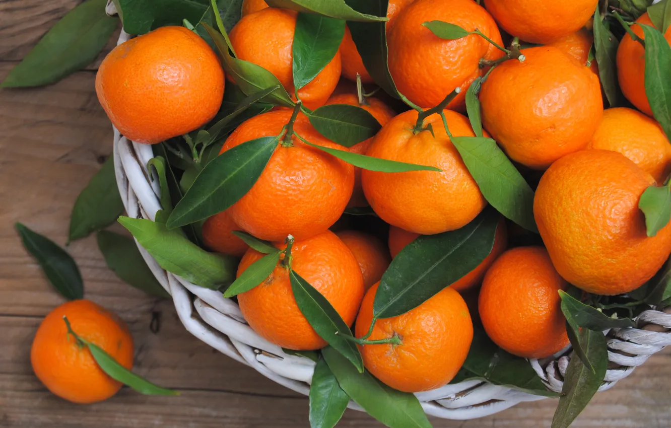 Photo wallpaper orange, leaves, fruits, oranges