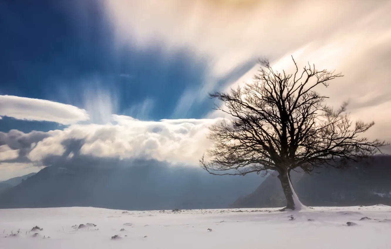 Photo wallpaper snow, mountains, fog, tree