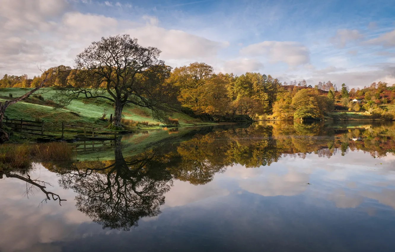 Photo wallpaper autumn, trees, lake, England, Cumbria
