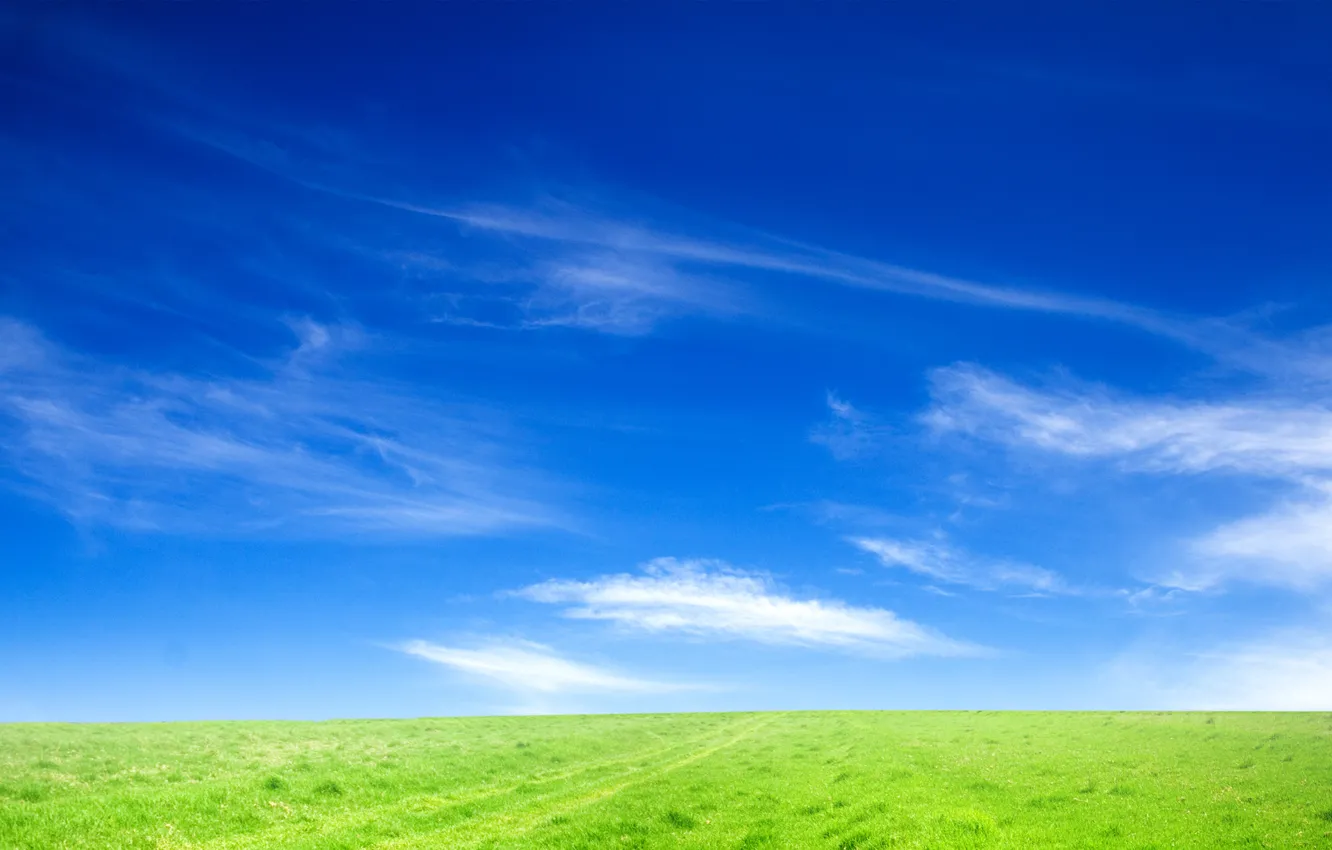 Photo wallpaper field, the sky, grass, nature, landscapes