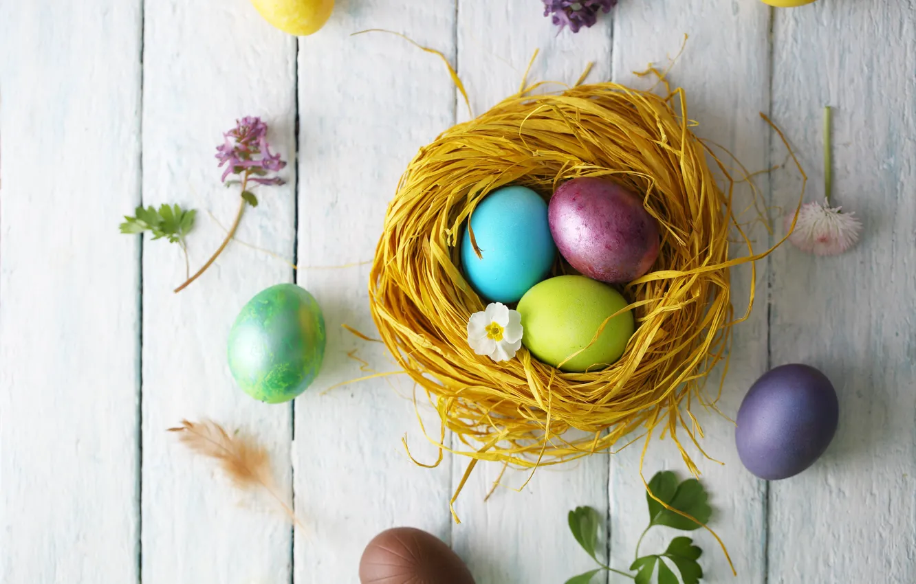 Photo wallpaper flowers, holiday, eggs, Easter, socket