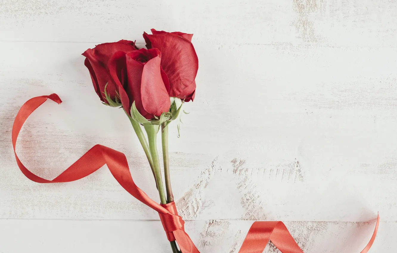 Photo wallpaper roses, Flowers, tape, red roses