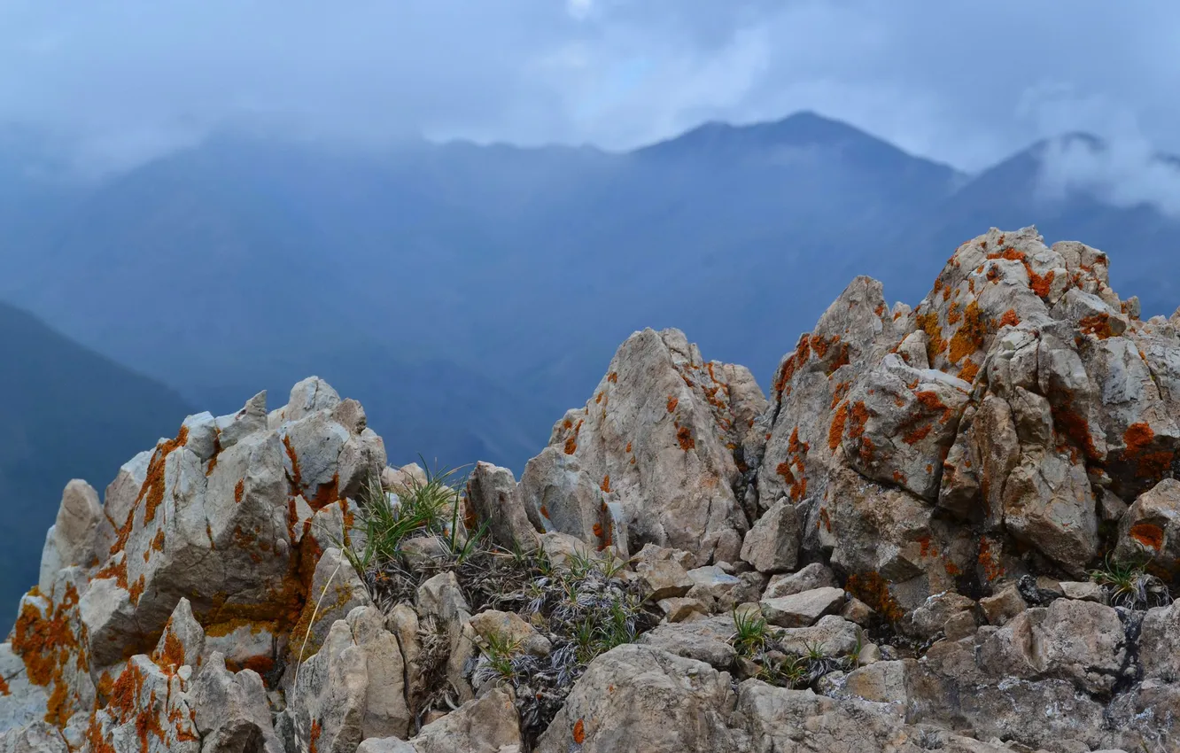 Photo wallpaper the sky, clouds, mountains, fog, stones, rocks
