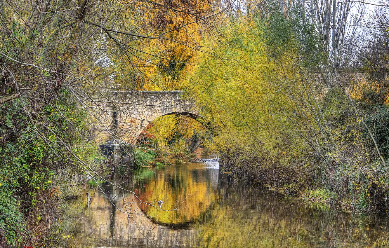 Photo wallpaper autumn, trees, bridge, Park, arch, Spain, Segovia