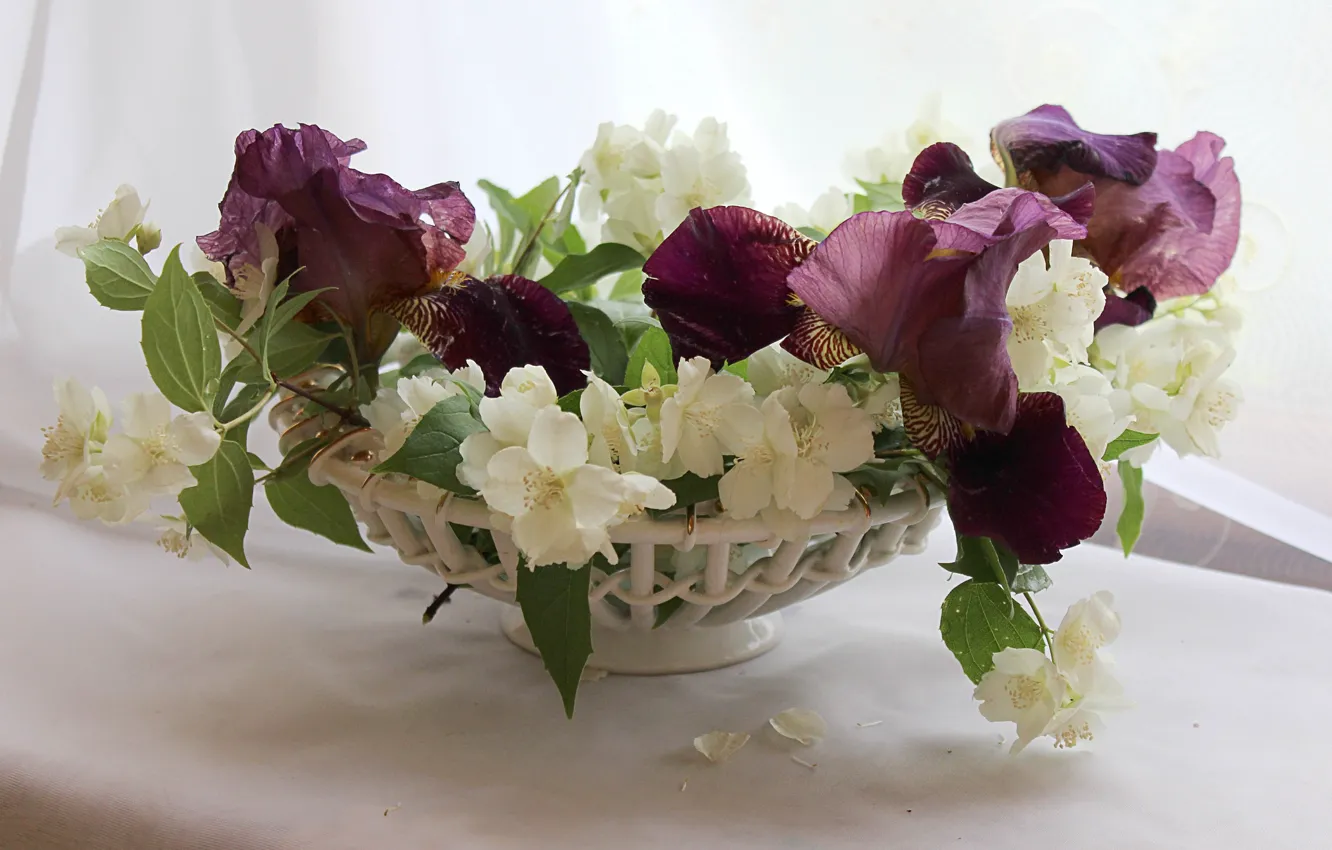 Photo wallpaper flowers, bouquet, still life, irises, Jasmine