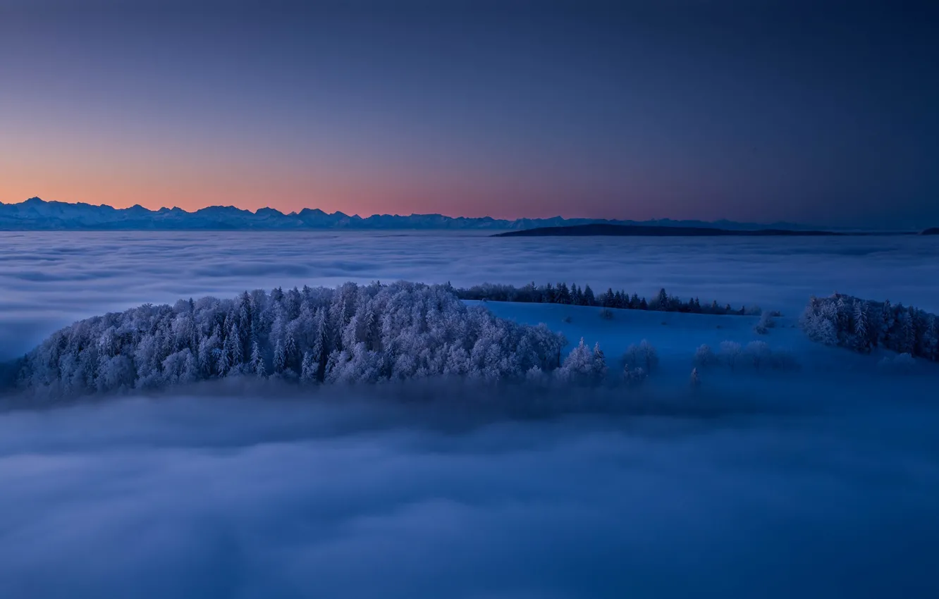 Photo wallpaper winter, trees, mountains, fog, sunrise, dawn, Switzerland, Switzerland