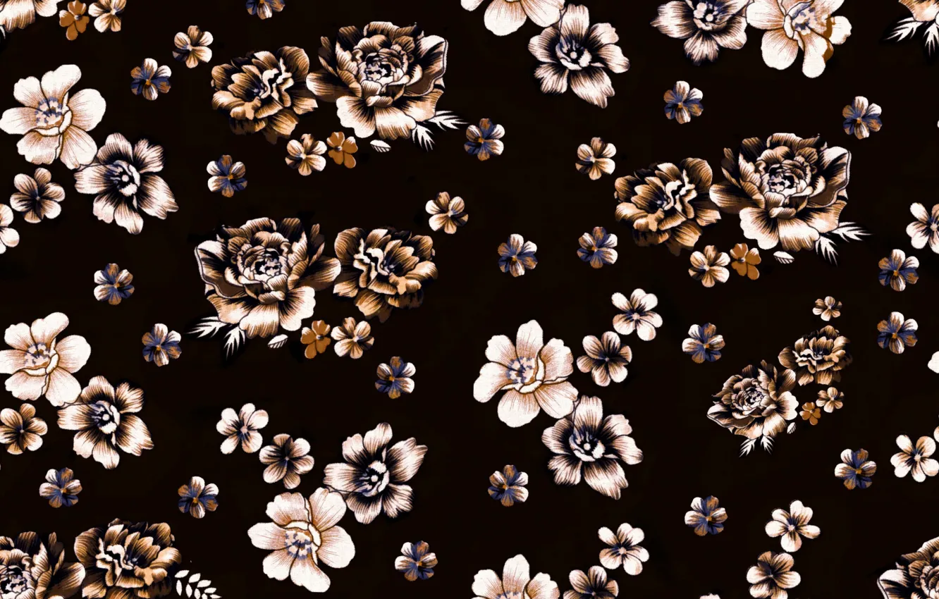 Photo wallpaper flowers, background, black, brown, background, pattern, floral
