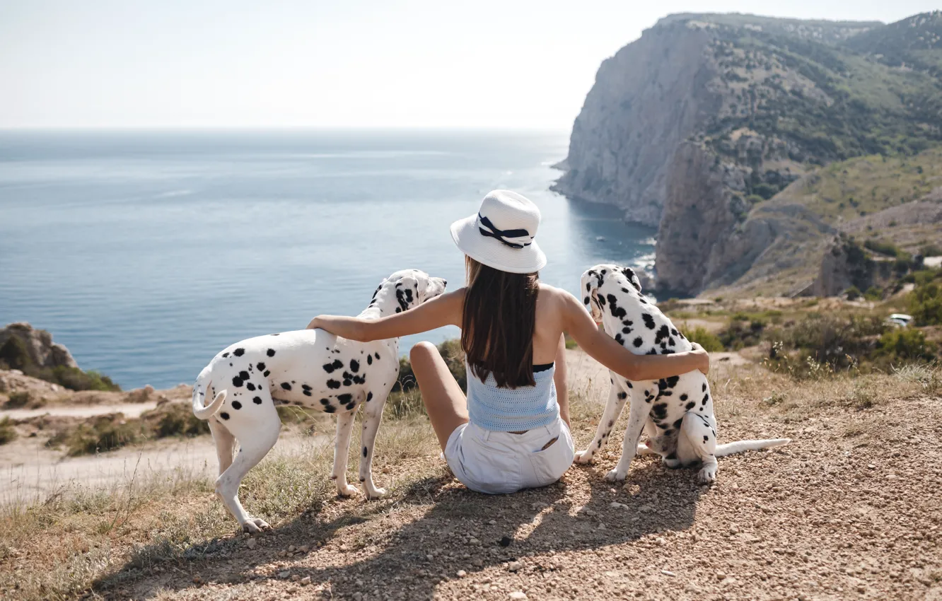 Photo wallpaper girl, dog, sitting