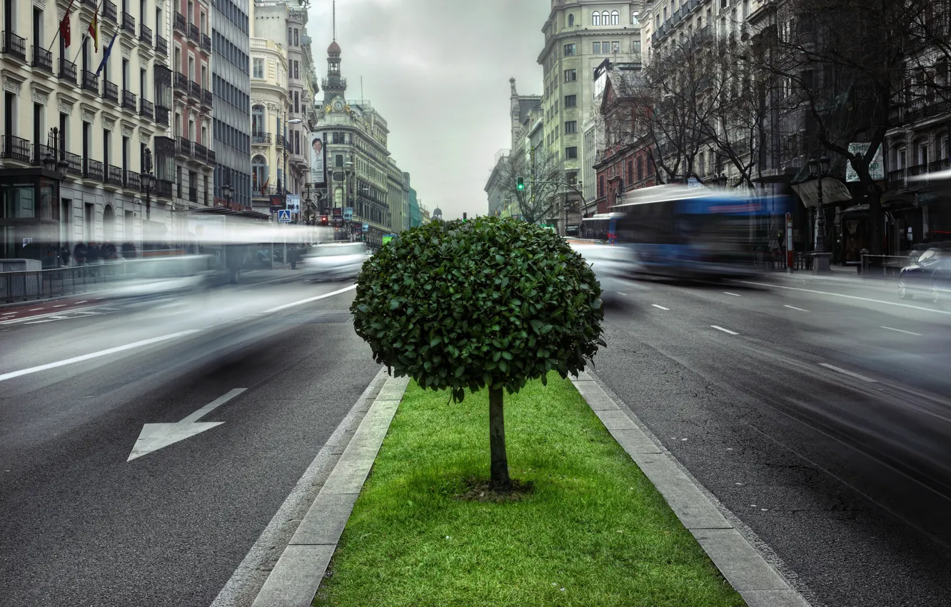 Photo wallpaper machine, the city, movement, tree, street, road, excerpt, Europe