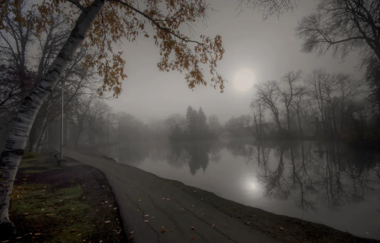 Photo wallpaper autumn, fog, pond, Park, track