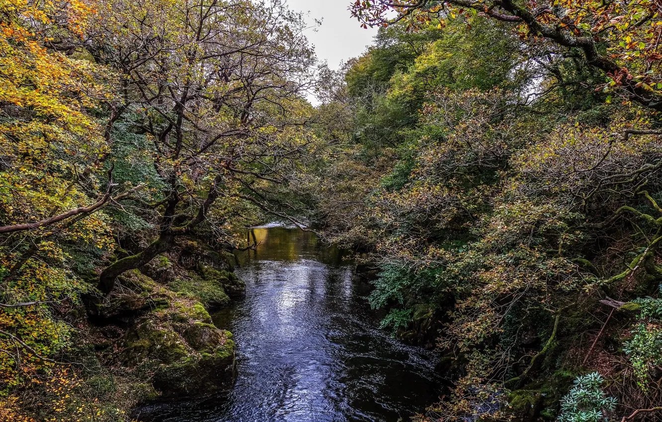 Photo wallpaper landscape, nature, river, beauty