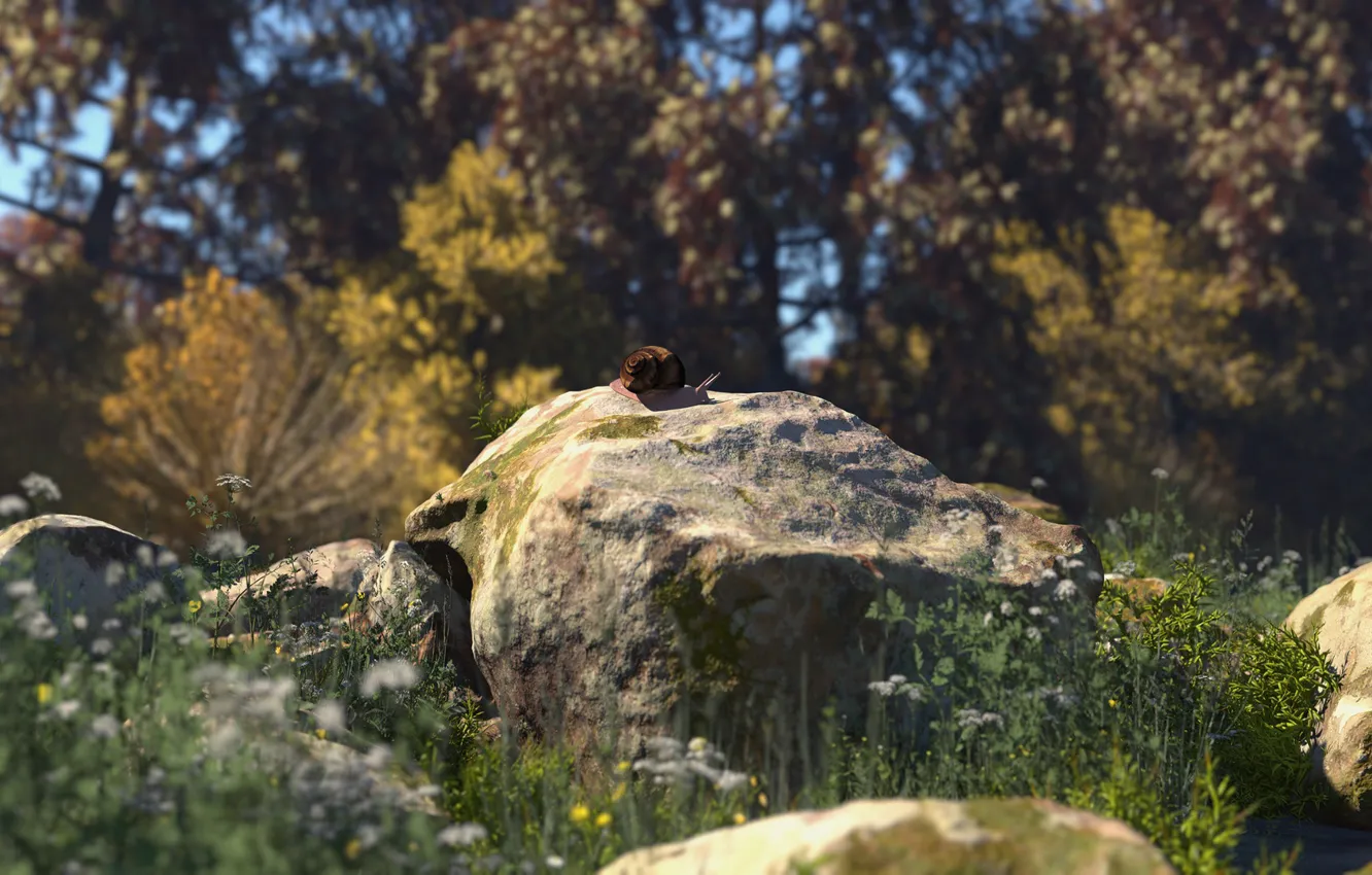 Photo wallpaper nature, stones, vegetation, snail, real rocks
