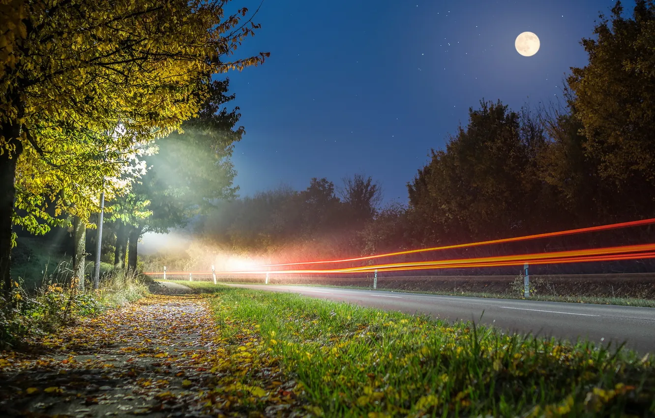 Photo wallpaper road, night, lights