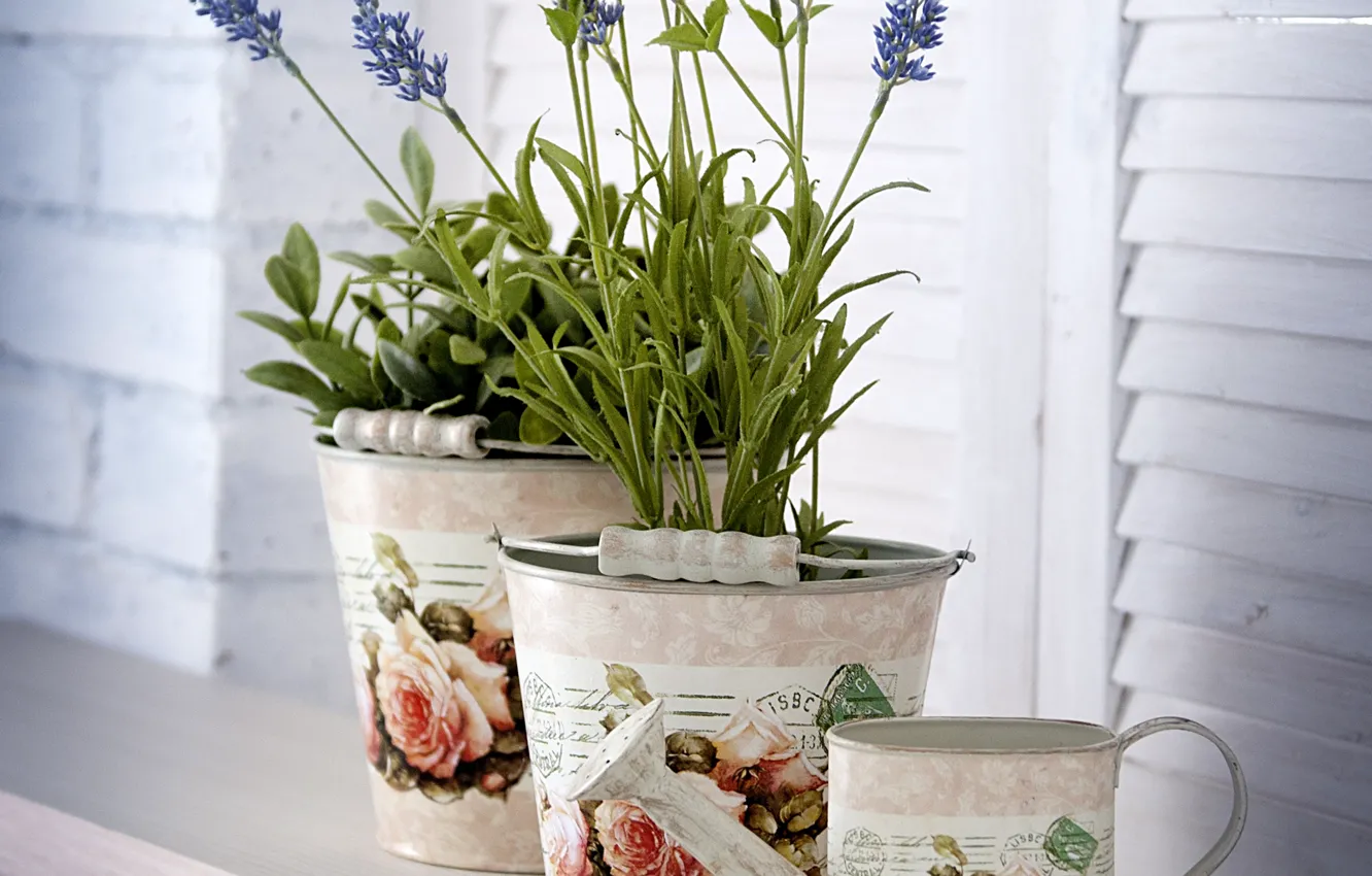 Photo wallpaper flowers, still life, lavender, Purple flowers