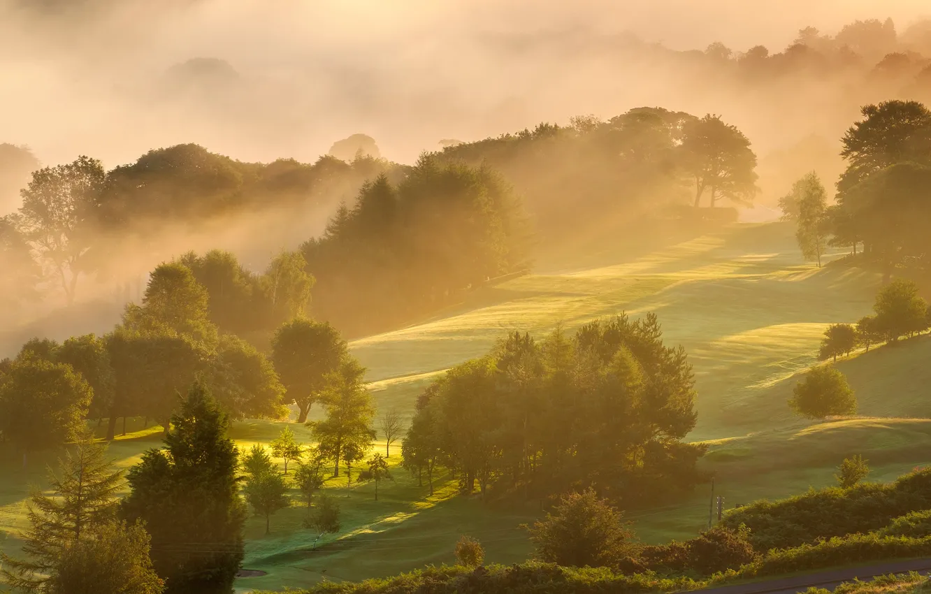 Photo wallpaper greens, light, trees, mountains, fog, hills, morning