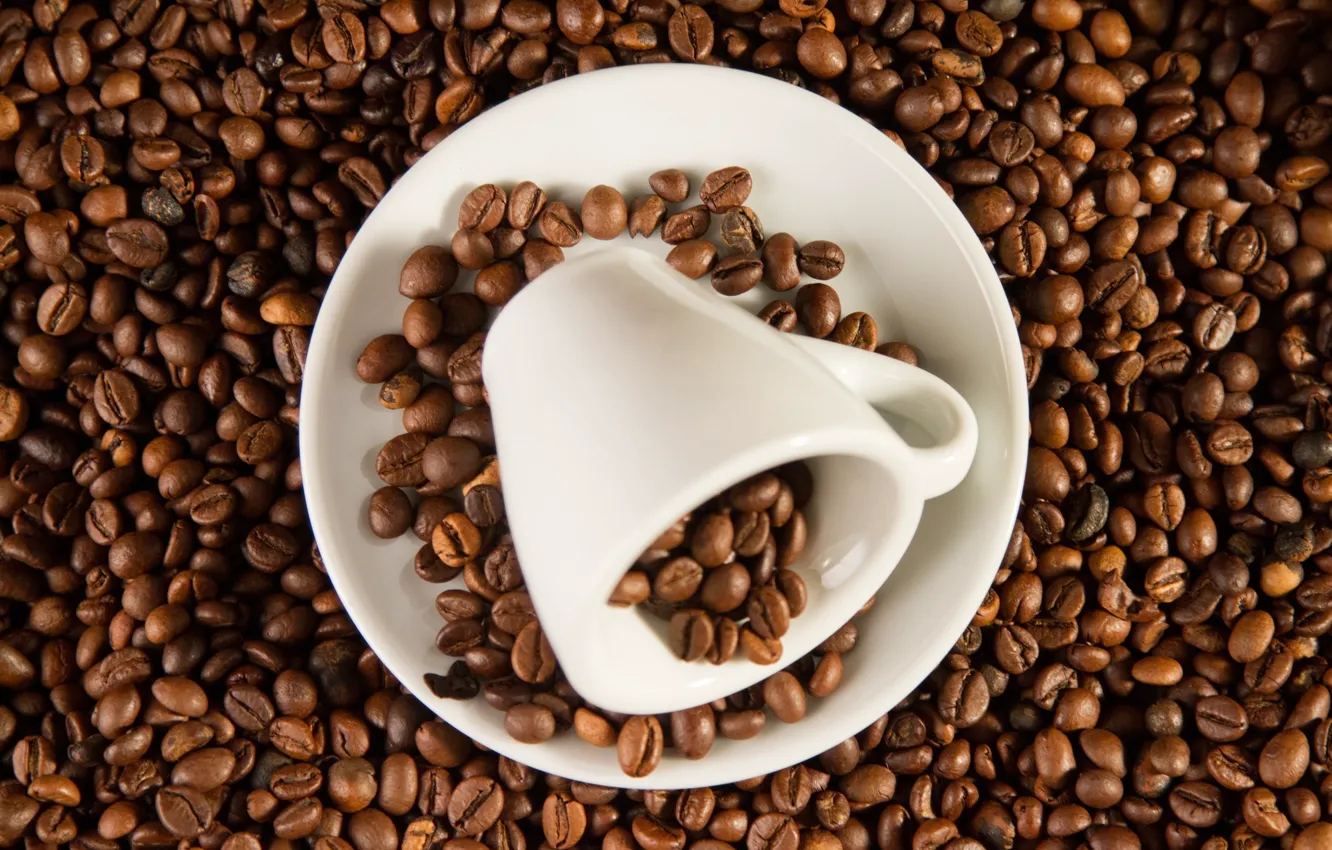 Photo wallpaper coffee, grain, plate, Cup