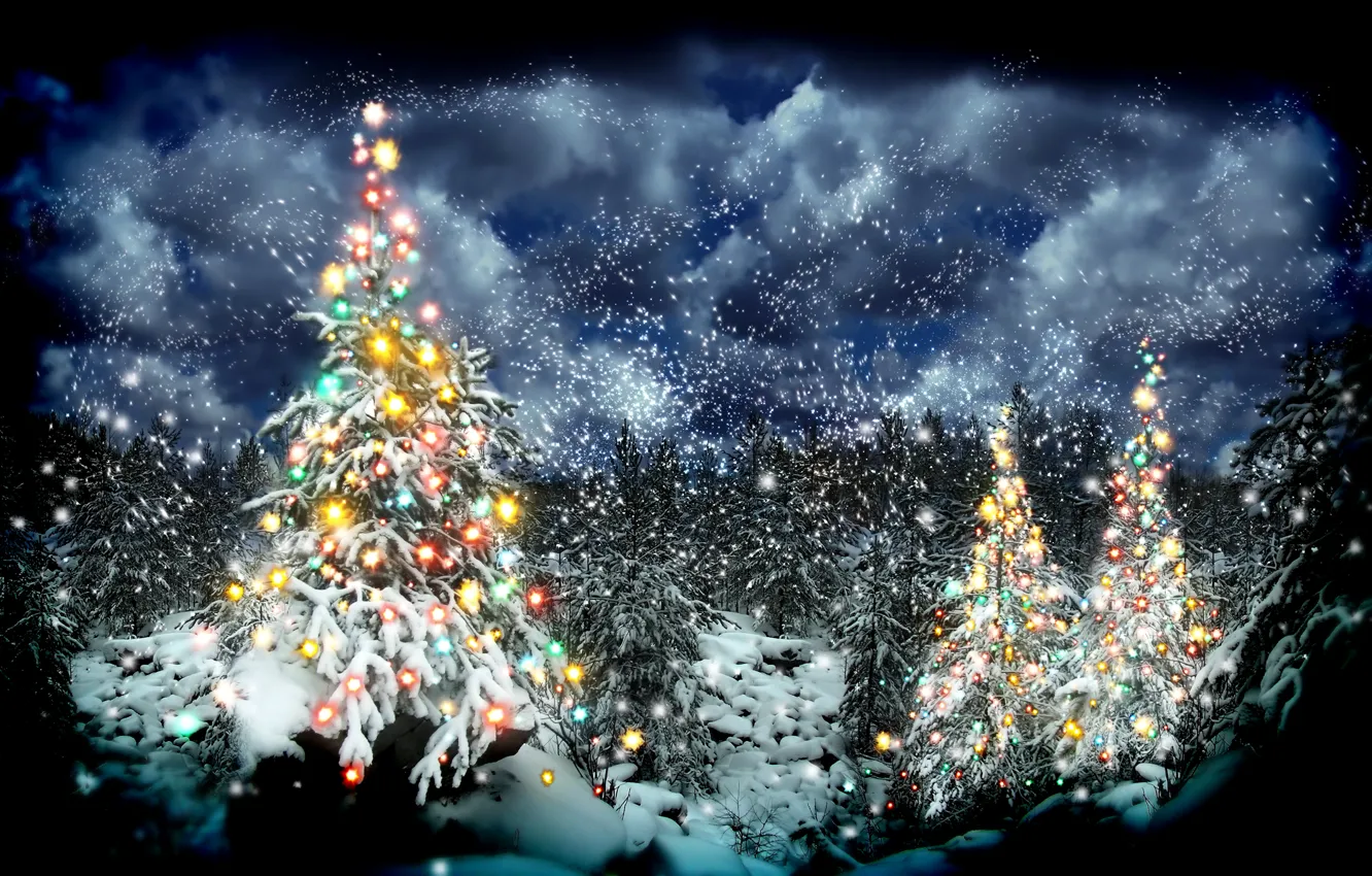 Photo wallpaper winter, forest, snow, tree, New year, garland, Christmas, winter