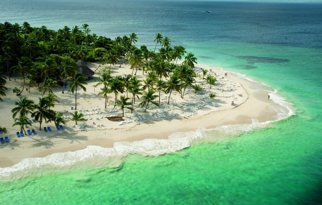 Photo wallpaper beach, palm trees, the ocean