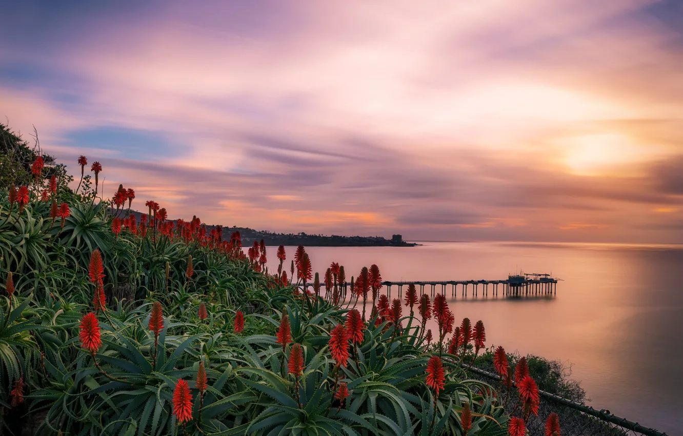 Photo wallpaper sunset, flowers, shore, pierce, pond