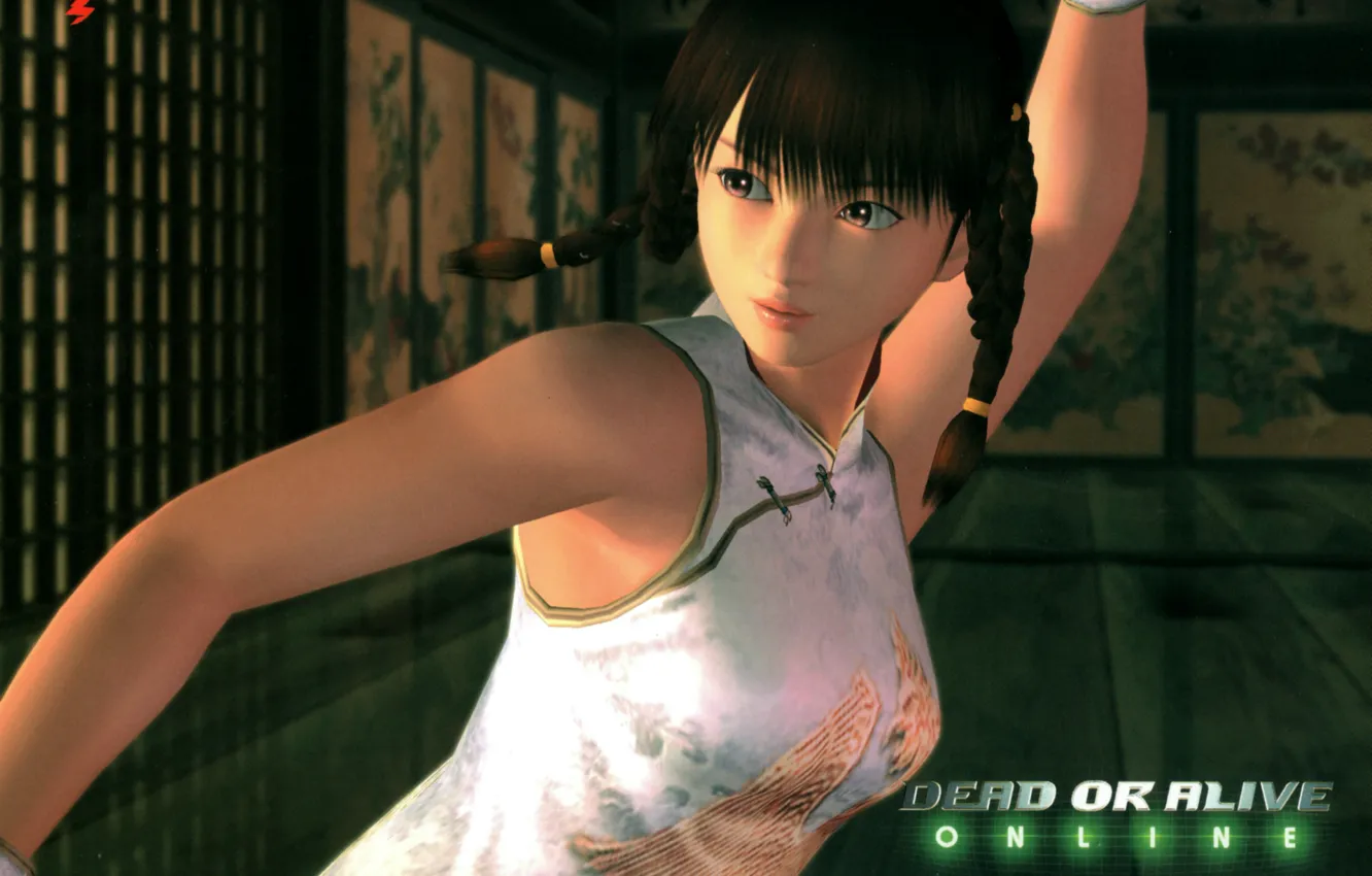 Photo wallpaper room, braids, Asian, stand, Dead or Alive, DoA Girls, Lei Fang