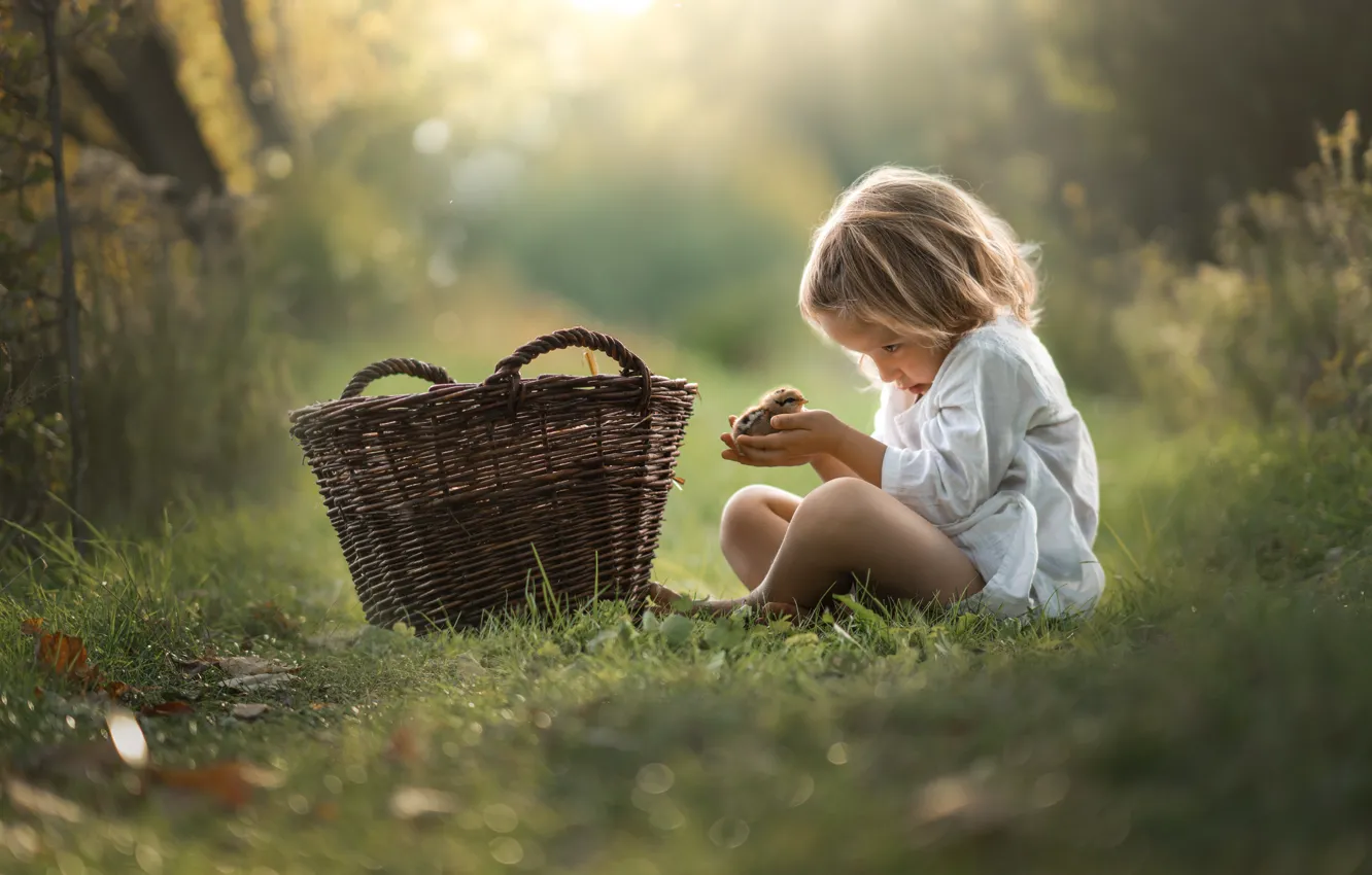 Photo wallpaper glade, girl, basket, Chicks, Ivona Podlasińska
