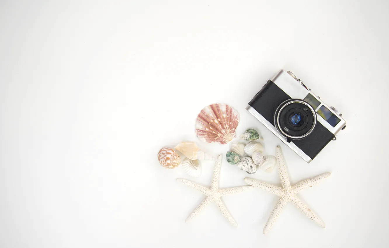 Photo wallpaper background, The camera, shell, starfish