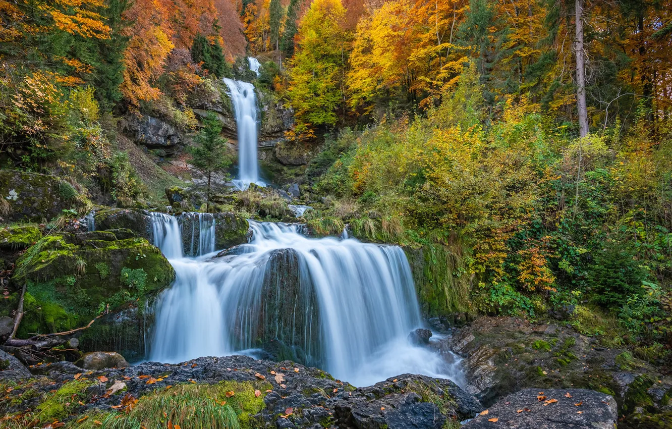 Photo wallpaper autumn, forest, rocks, waterfall, Switzerland, cascade, Switzerland, Gissbach Waterfall