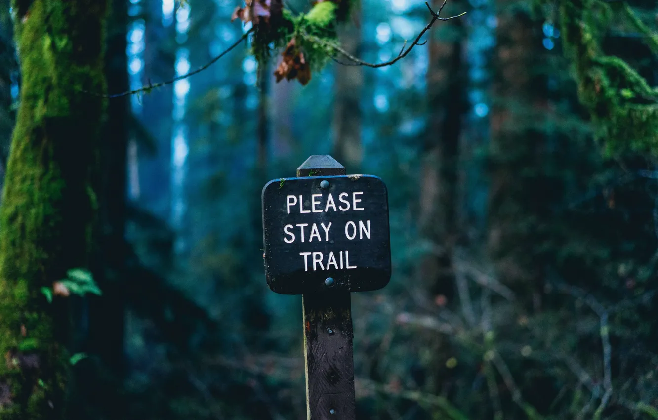 Photo wallpaper plate, nature, sign, forests, macro, blur, bokeh, inscription