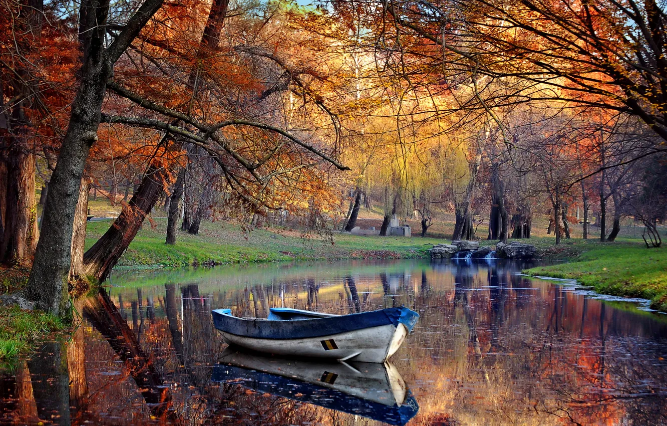 Photo wallpaper trees, pond, Park, boat