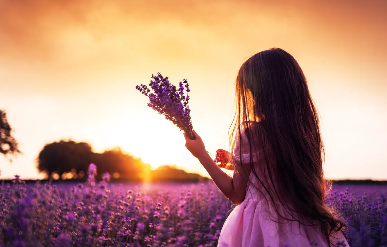 Photo wallpaper field, summer, flowers, nature, pose, mood, bouquet, dress