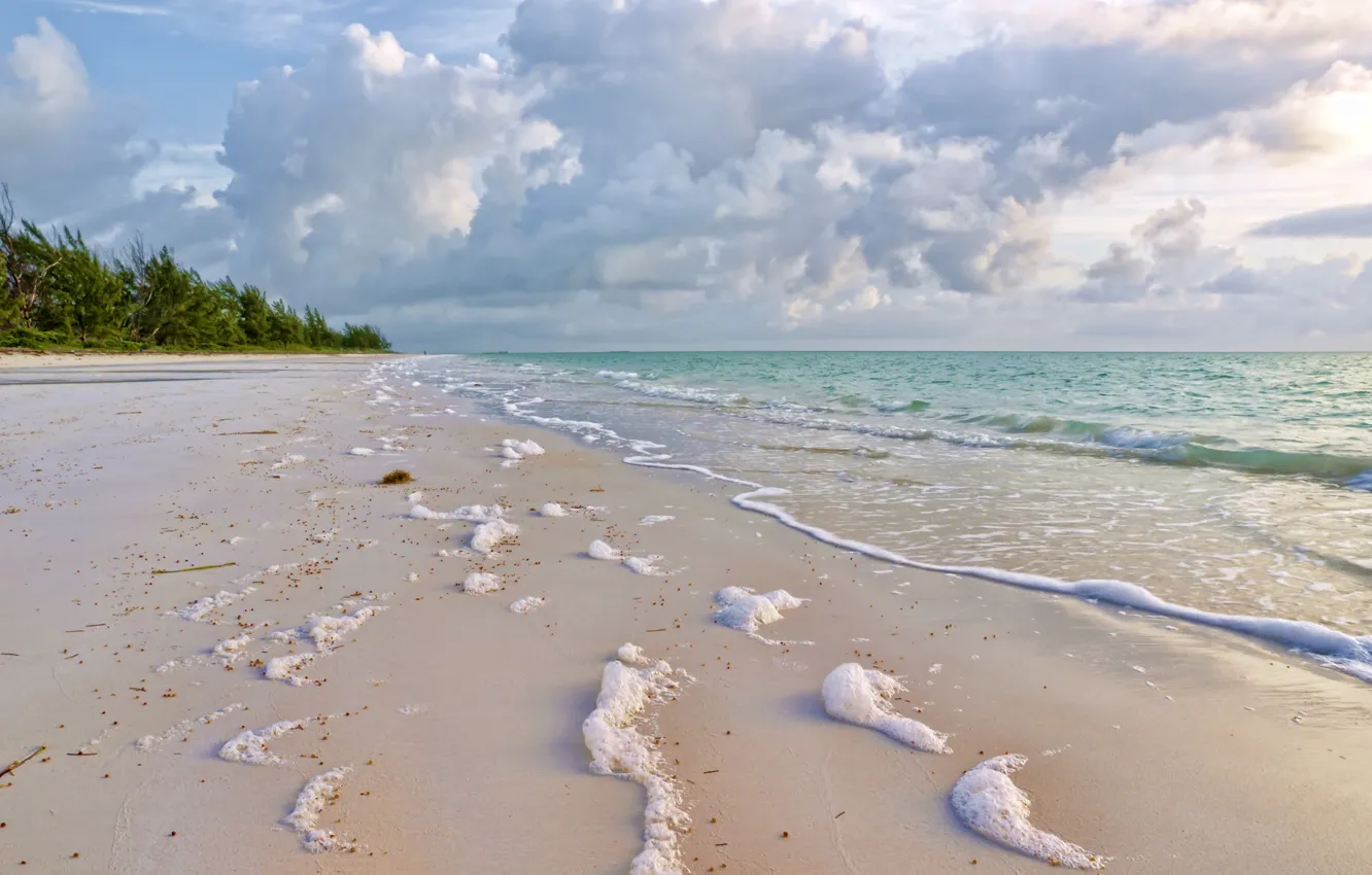 Photo wallpaper sand, sea, greens, foam, clouds, nature, coast, surf