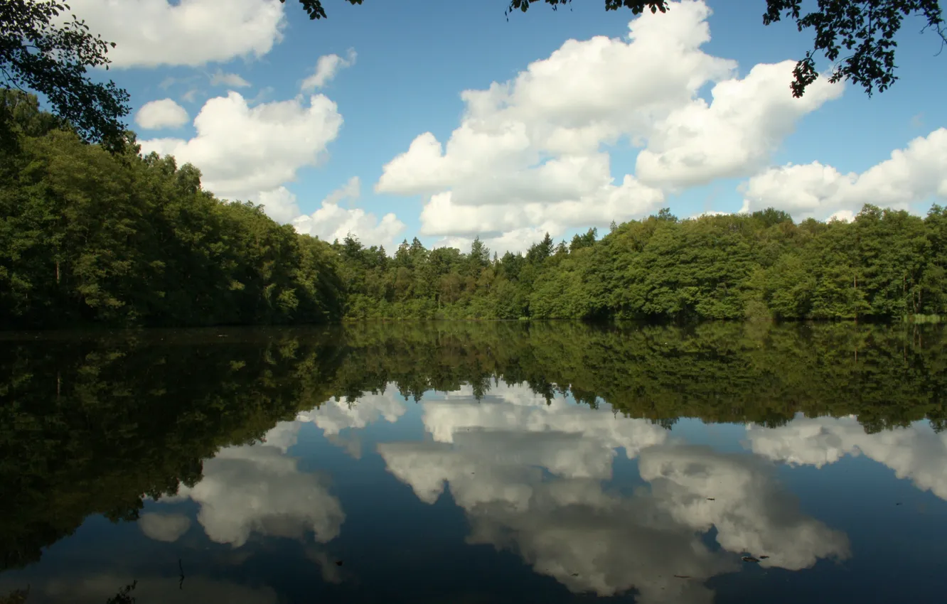 Photo wallpaper forest, clouds, nature, lake, reflection, forest, nature, clouds