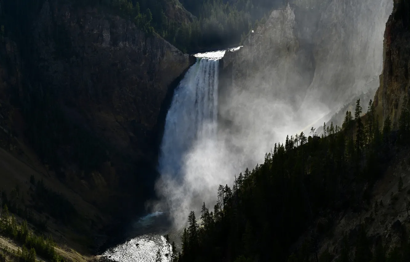 Photo wallpaper trees, haze, the view from the top, Svetlana Povarova Ree, Waterfall Light