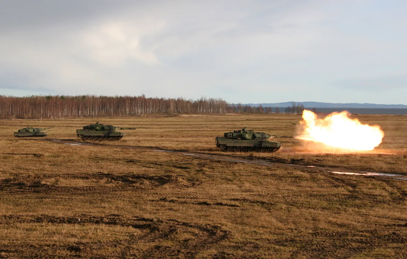 Photo wallpaper field, forest, shot, tank, trio