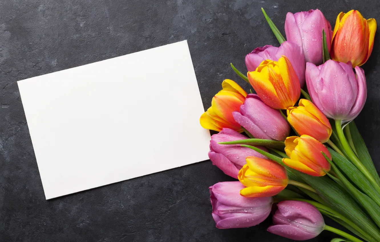 Photo wallpaper flowers, bouquet, colorful, tulips, pink, flowers, tulips, postcard
