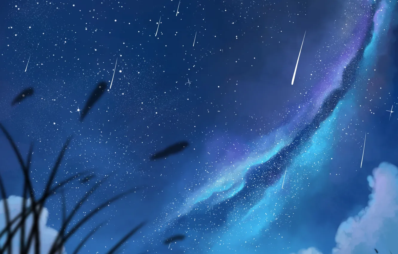 Photo wallpaper the sky, girl, stars, clouds, night, anime, art, pair