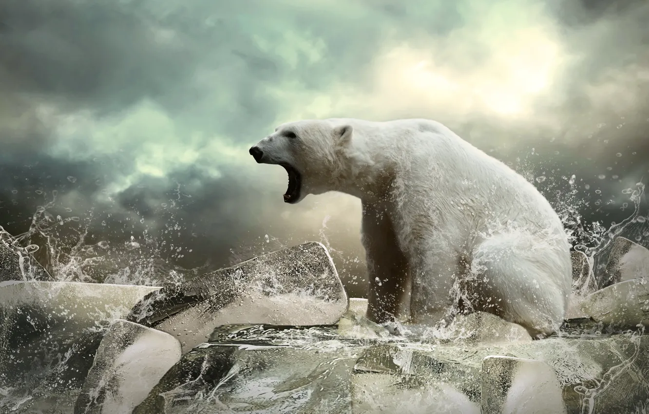 Photo wallpaper ice, bear, ice, beast, polar bear